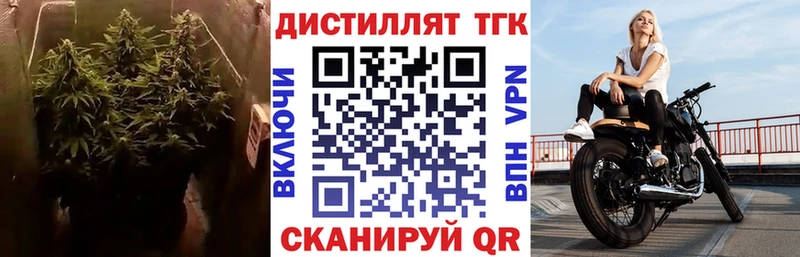 как найти закладки  Ладушкин  hydra сайт  Дистиллят ТГК жижа 