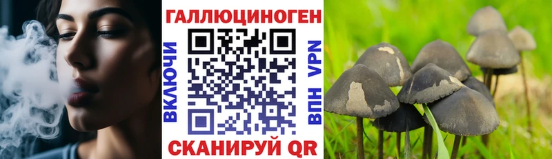 Галлюциногенные грибы мицелий  Ладушкин 